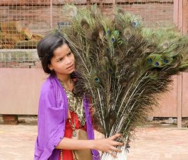 Pfauenmädchen Pfauenmädchen